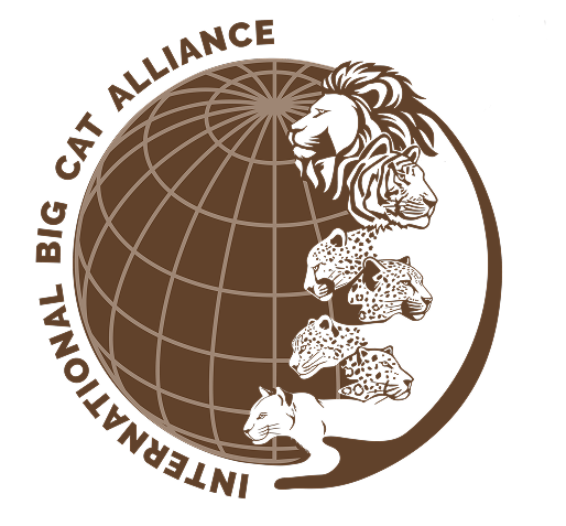 IBCA - International Big Cat Alliance